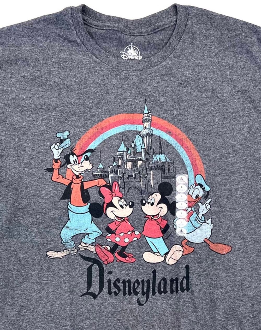 Disneyland Mickey Mouse and Friends Rainbow Grey Unisex T-Shirt - Size Lrg - NWT